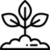 Hojas