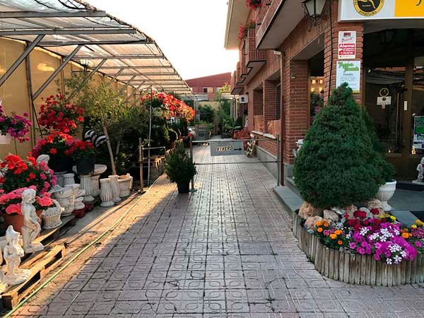 Floristería Maranta Viveros calle con flores
