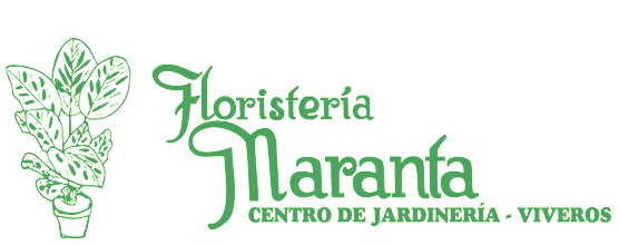 Floristería Maranta Viveros logo